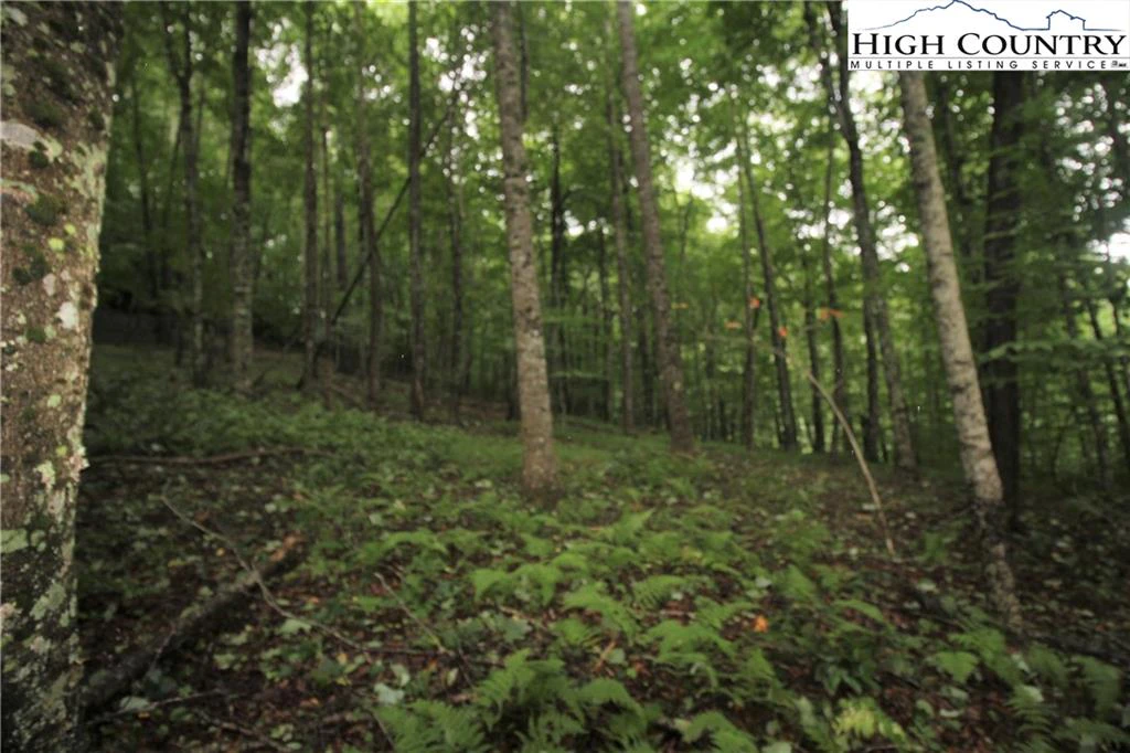 Image number 5 for the current listing