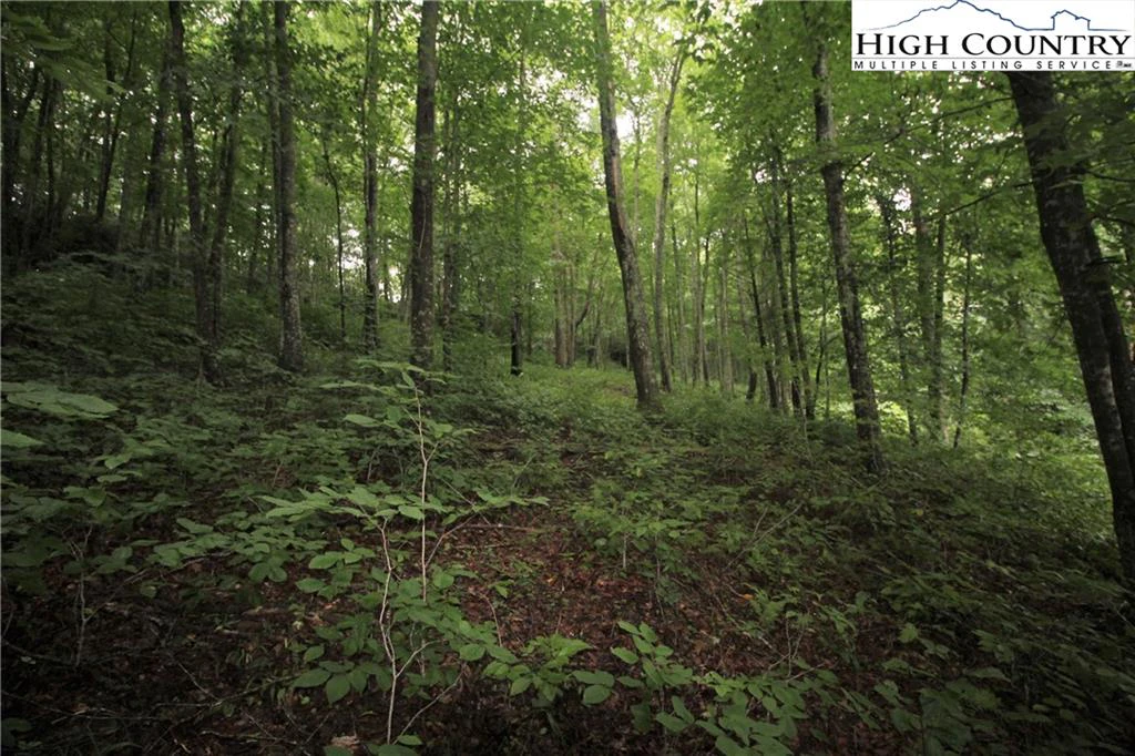 Image number 6 for the current listing