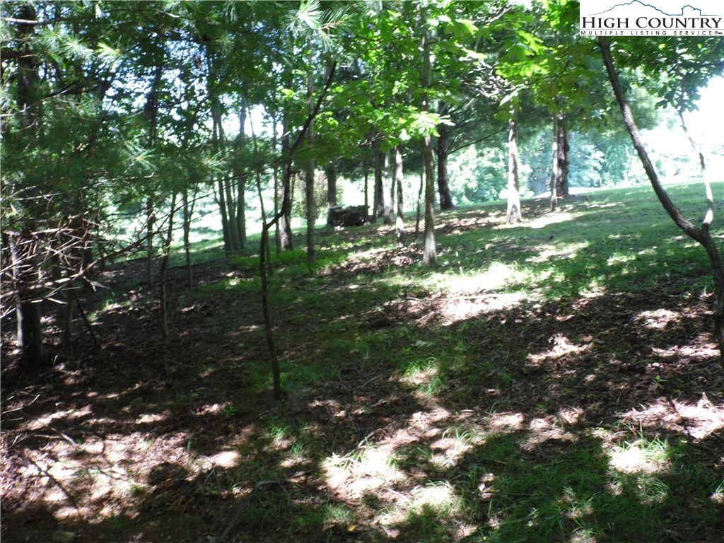 Image number 1 for the current listing