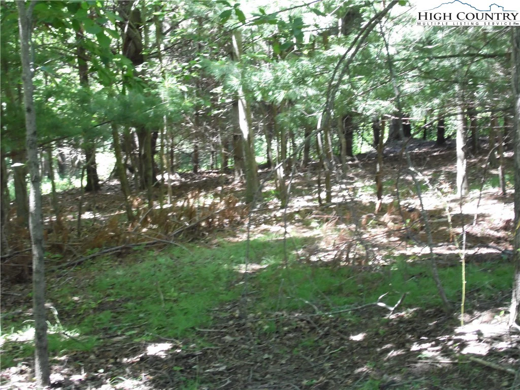 Image number 4 for the current listing