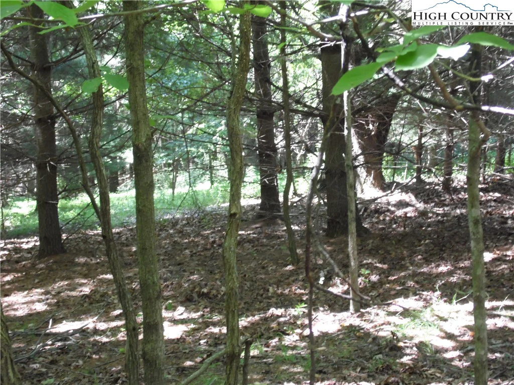 Image number 5 for the current listing