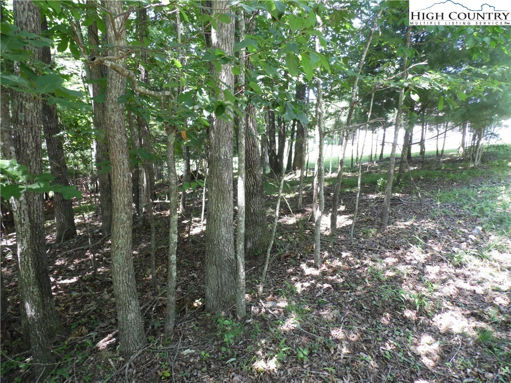 Image number 9 for the current listing