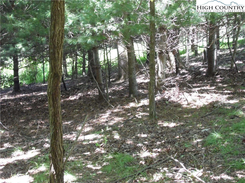 Image number 11 for the current listing