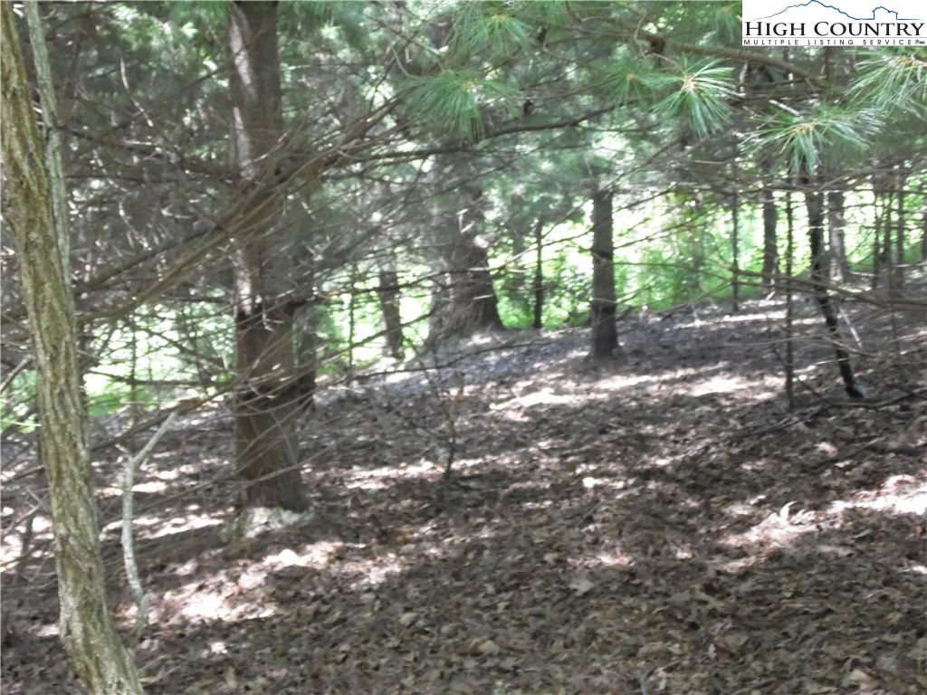 Image number 12 for the current listing