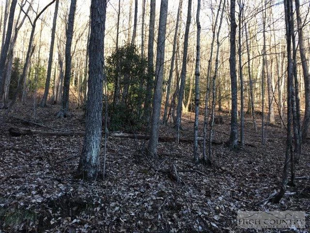 Image number 1 for the current listing
