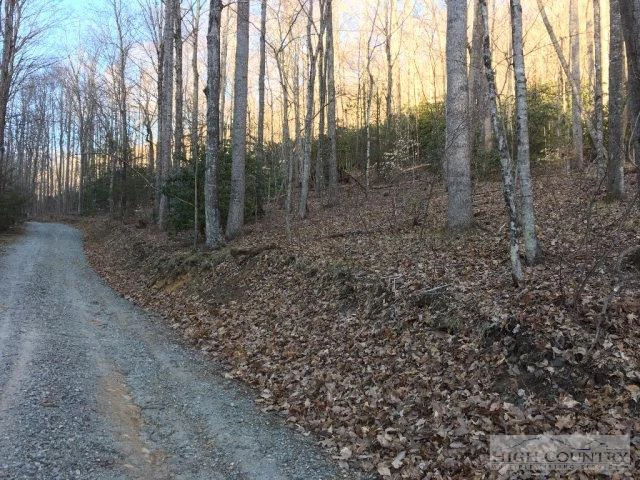 Image number 3 for the current listing