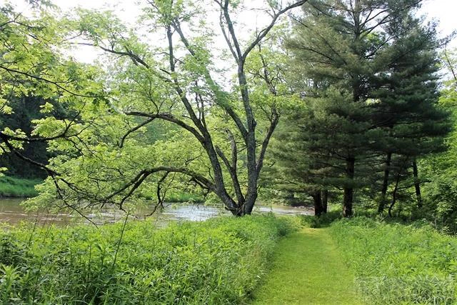 Image number 1 for the current listing