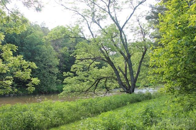 Image number 6 for the current listing