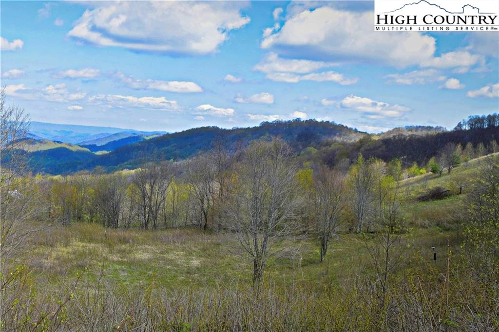 Image number 1 for the current listing