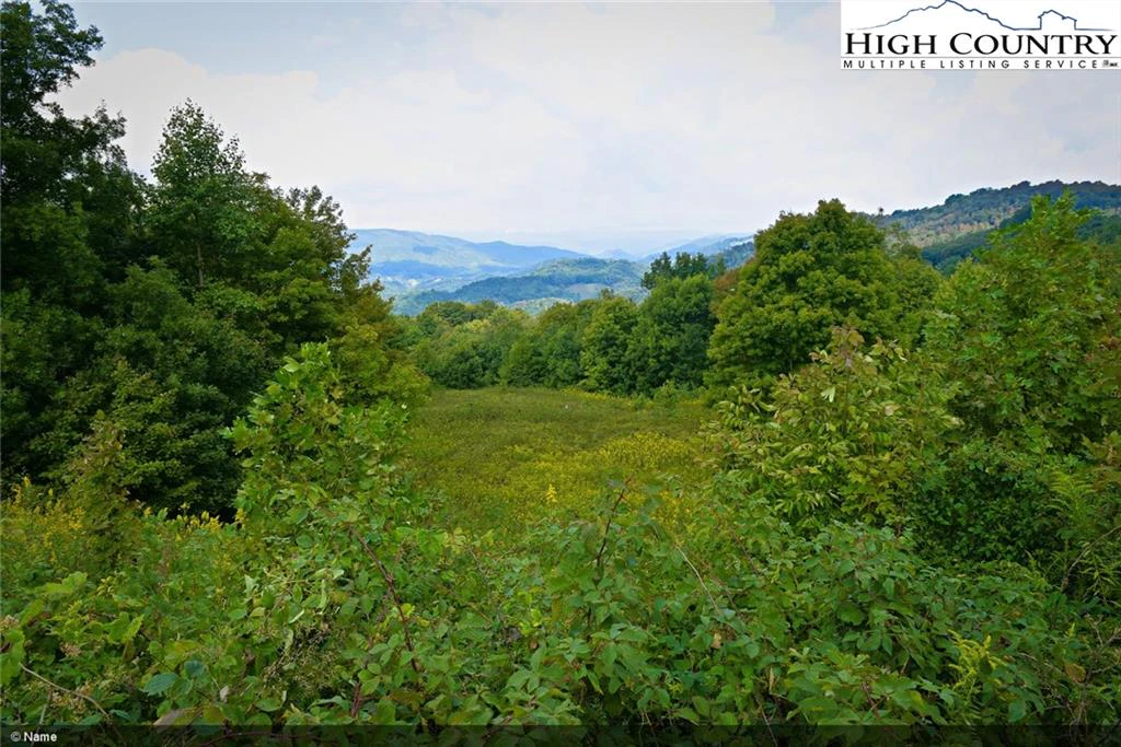Image number 21 for the current listing