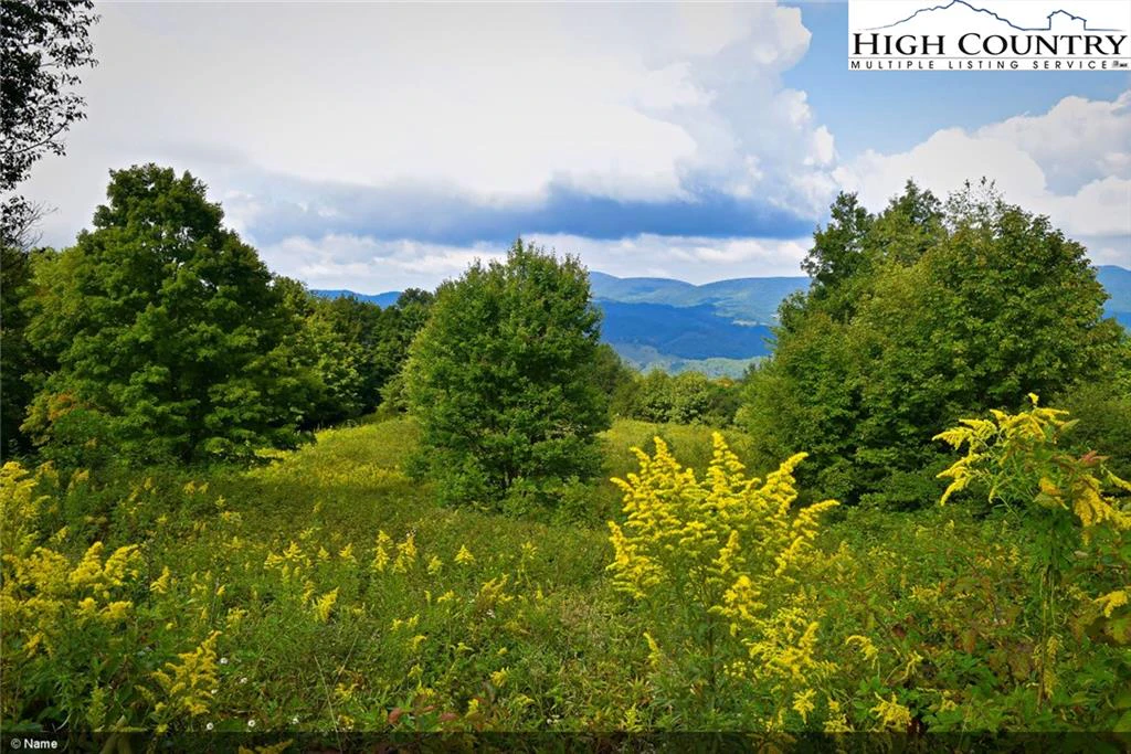 Image number 11 for the current listing