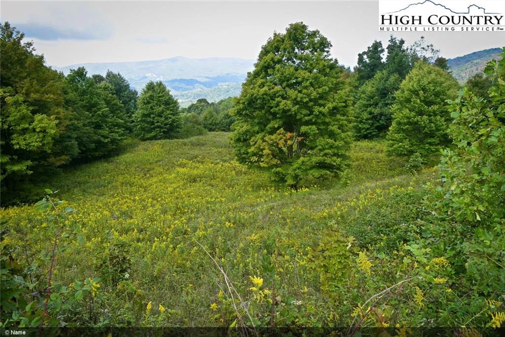 Image number 3 for the current listing