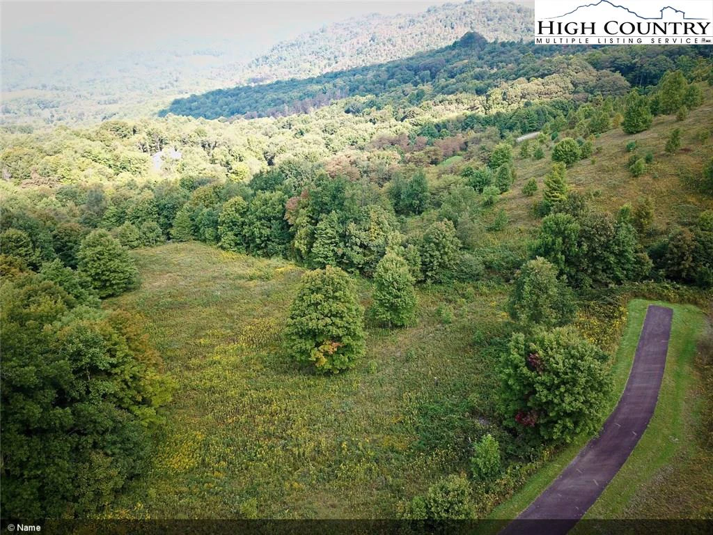 Image number 7 for the current listing