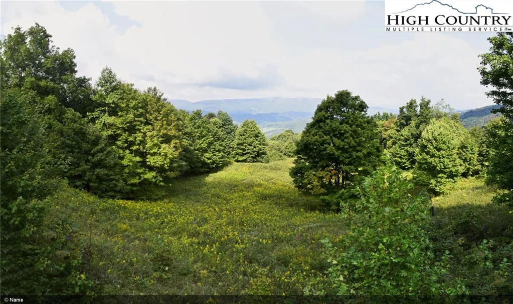 Image number 17 for the current listing