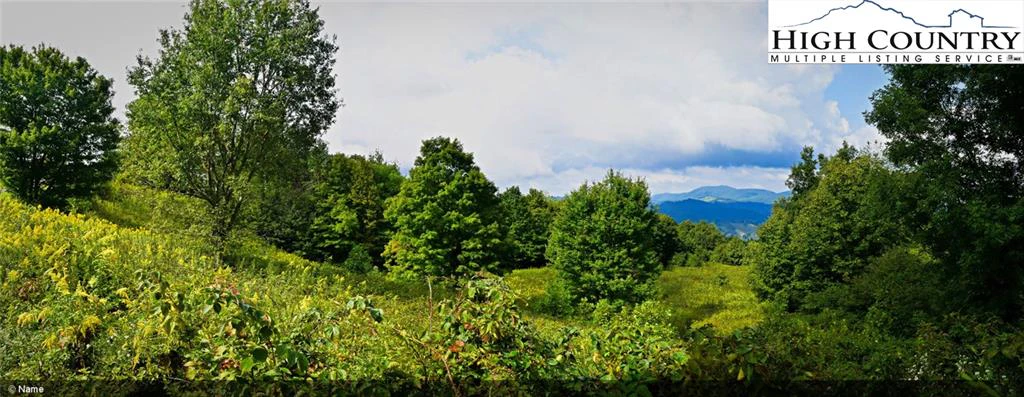 Image number 19 for the current listing