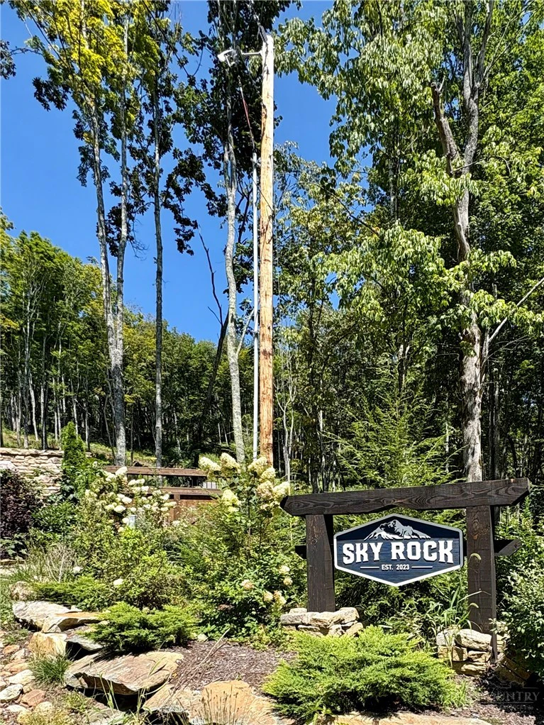 Image number 1 for the current listing