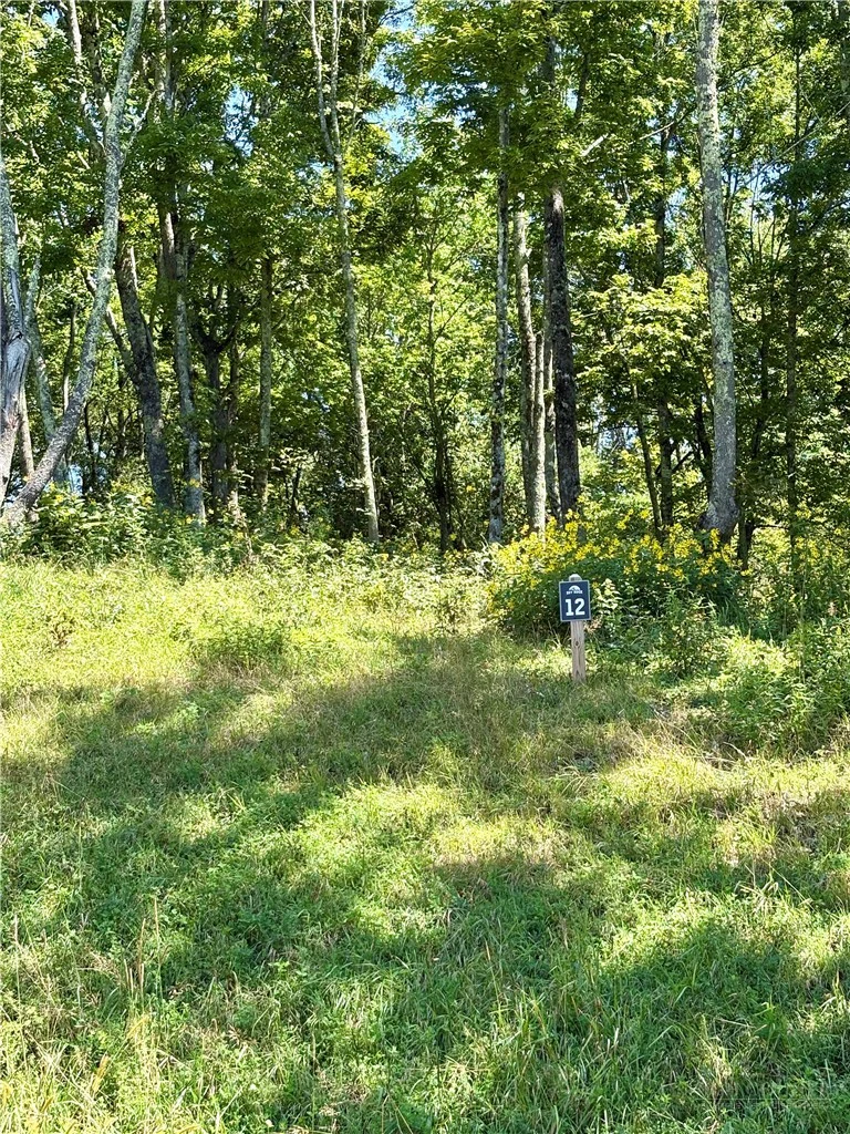 Image number 2 for the current listing