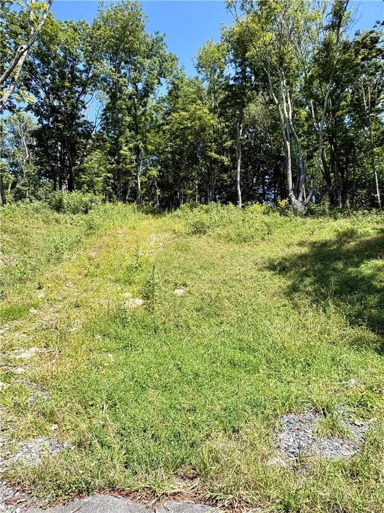 Image number 3 for the current listing