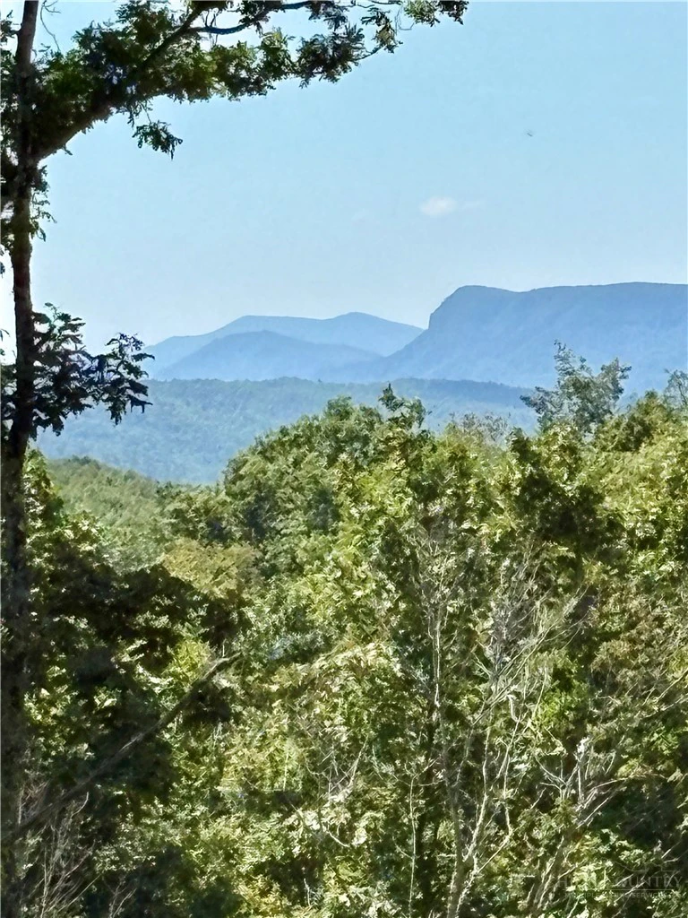 Image number 4 for the current listing
