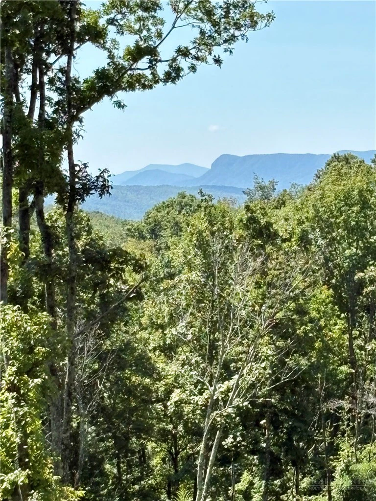 Image number 5 for the current listing