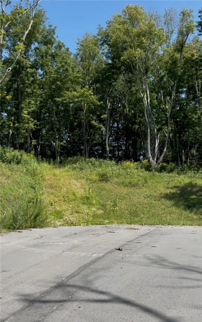 Image number 6 for the current listing