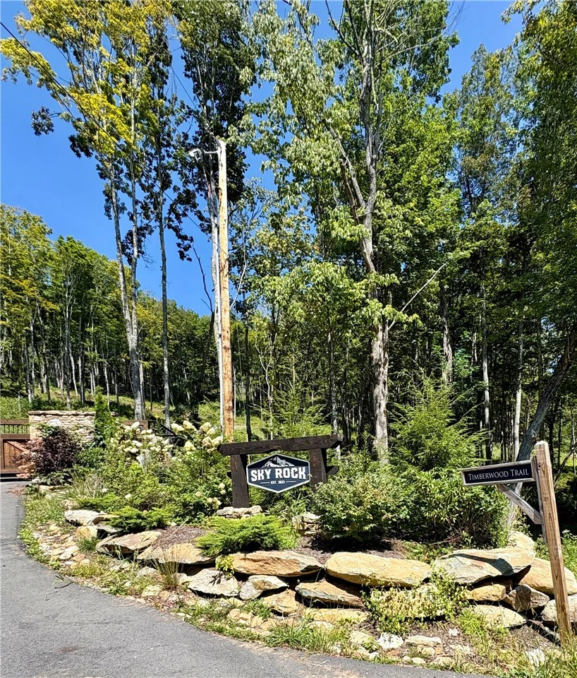 Image number 8 for the current listing