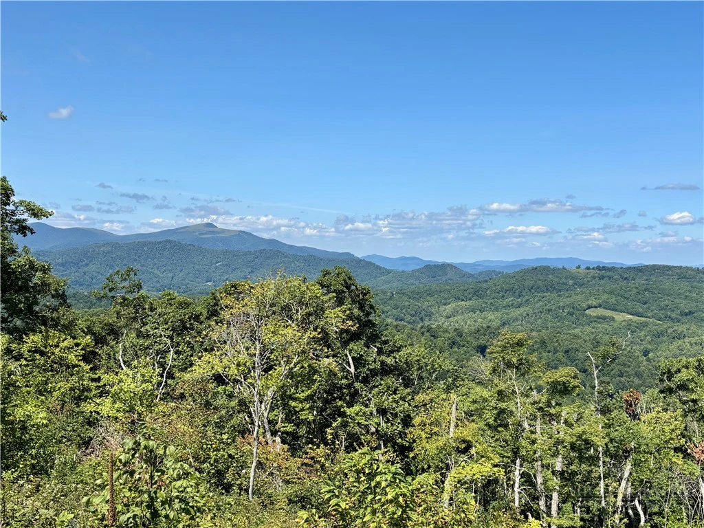 Image number 11 for the current listing
