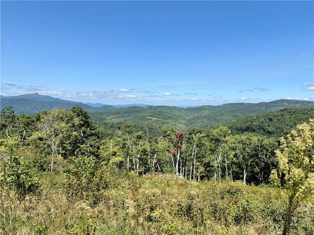 Image number 12 for the current listing