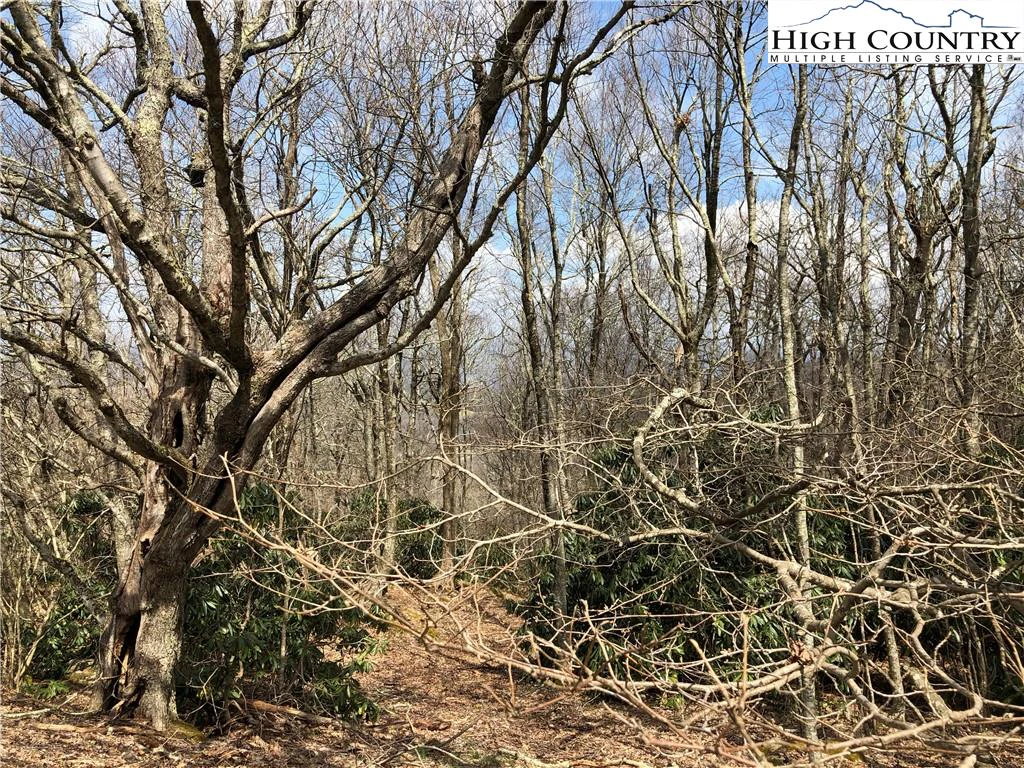 Image number 1 for the current listing