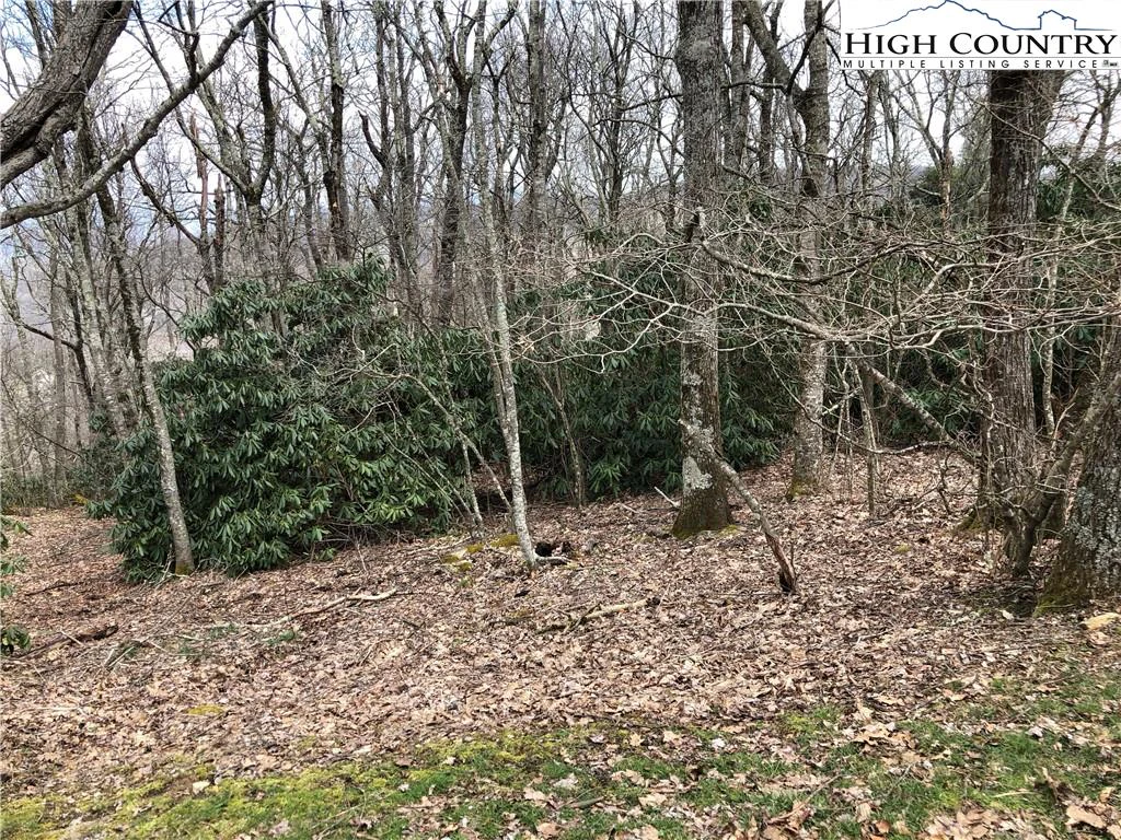 Image number 3 for the current listing