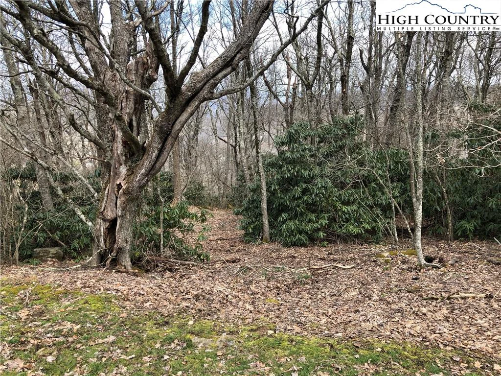Image number 4 for the current listing