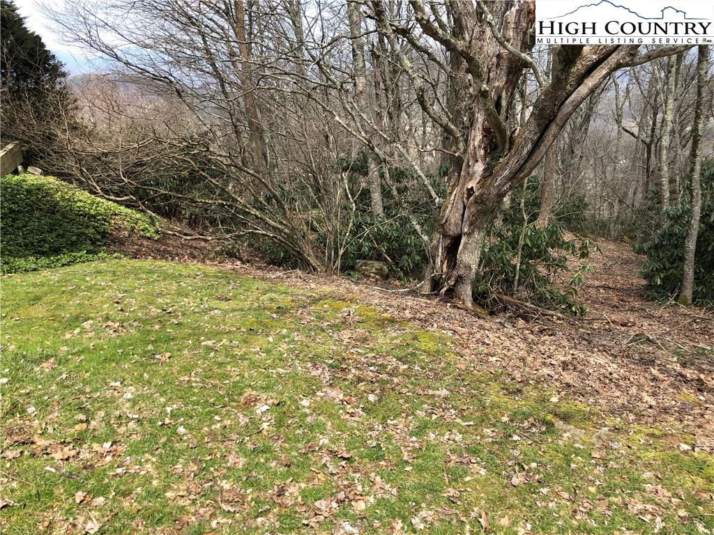 Image number 5 for the current listing