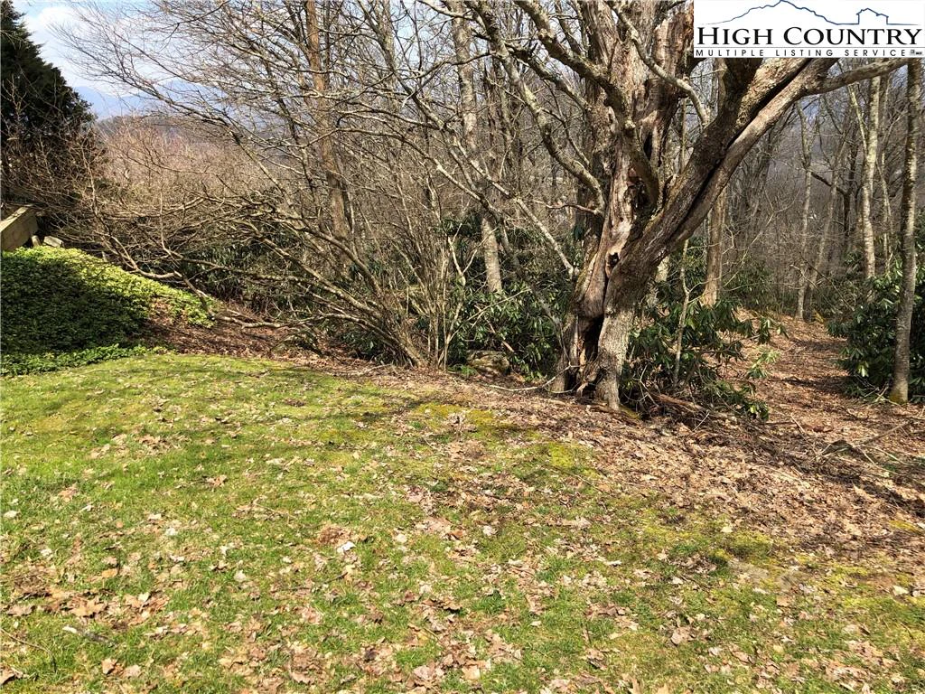 Image number 6 for the current listing