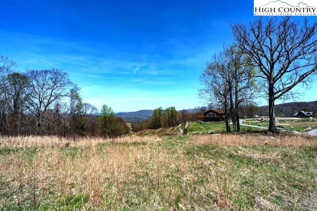 Image number 5 for the current listing