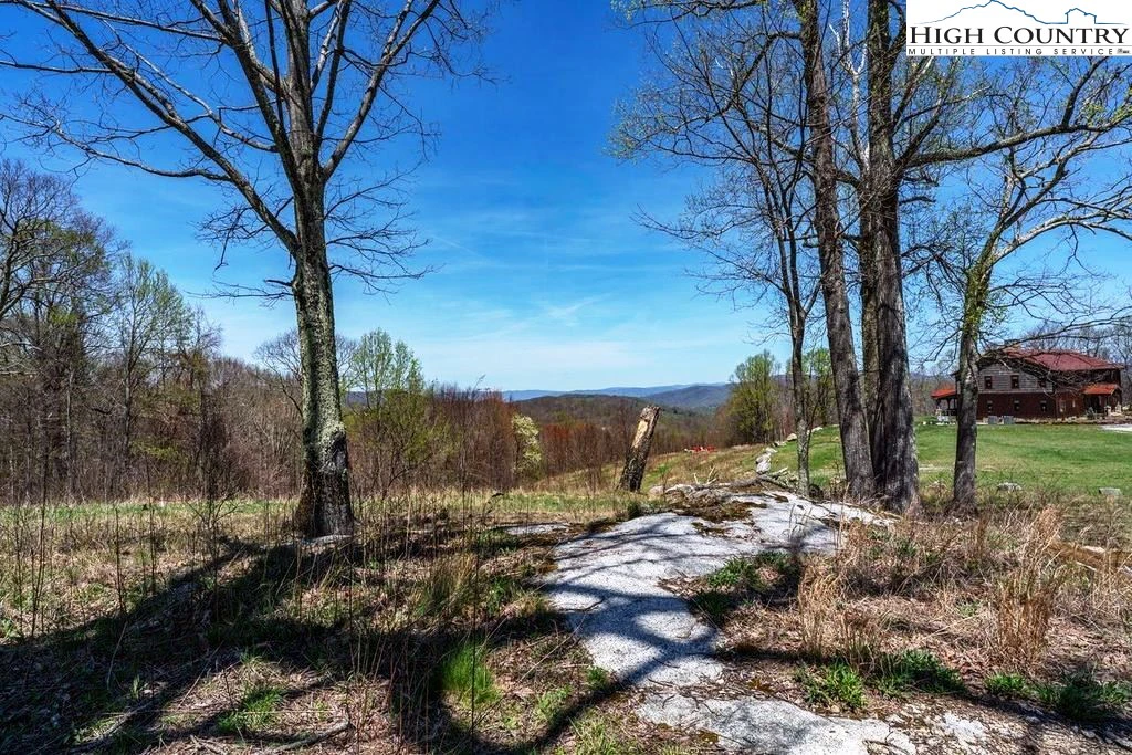 Image number 4 for the current listing
