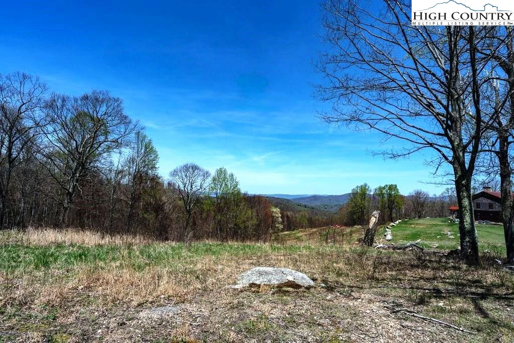 Image number 3 for the current listing