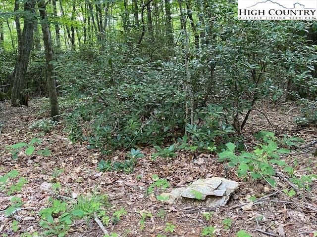 Image number 1 for the current listing