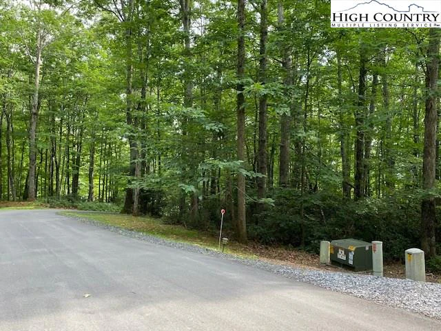 Image number 12 for the current listing