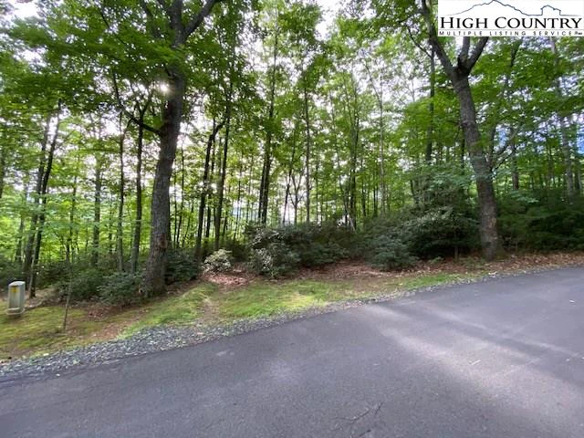 Image number 4 for the current listing