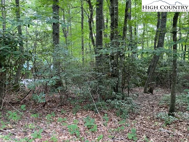 Image number 5 for the current listing