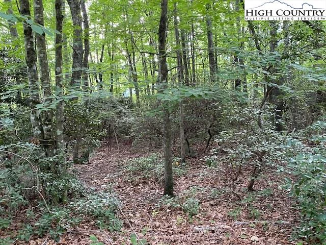 Image number 7 for the current listing