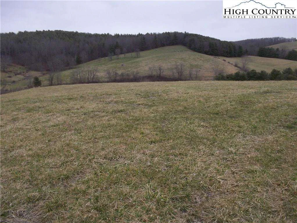 Image number 3 for the current listing