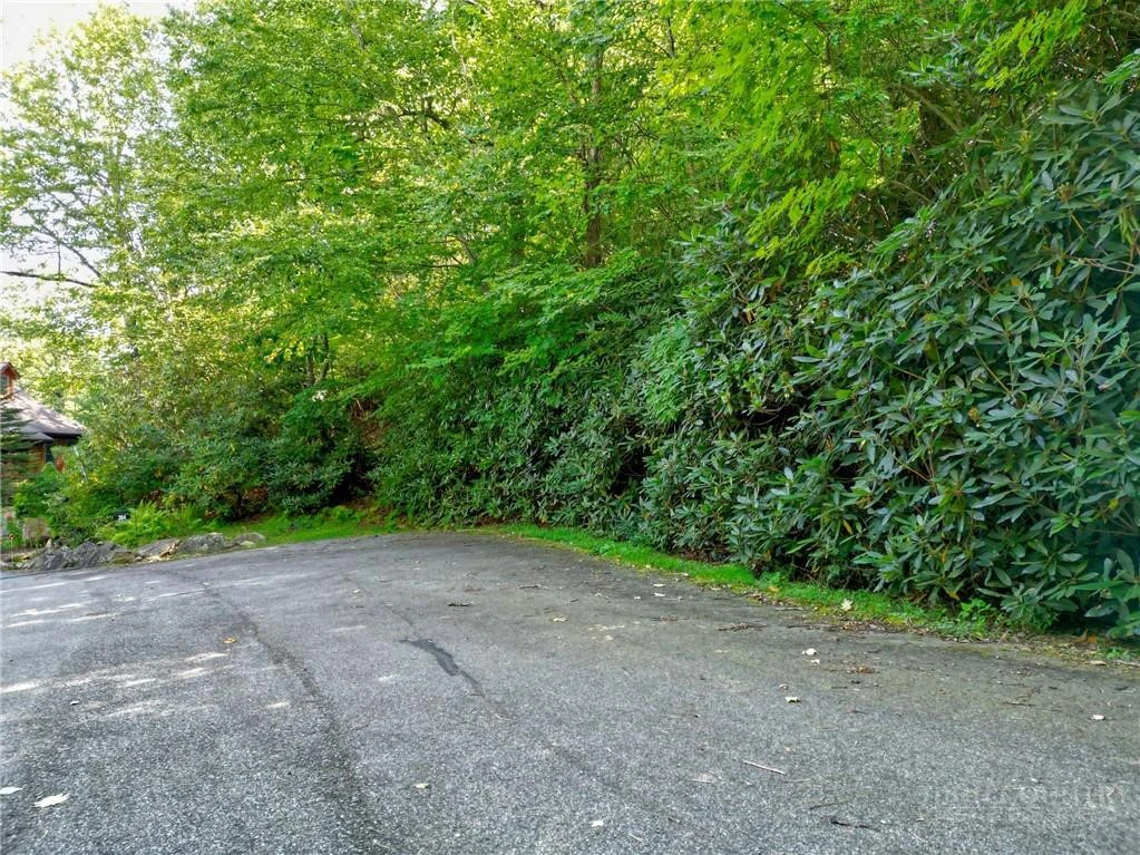 Image number 2 for the current listing