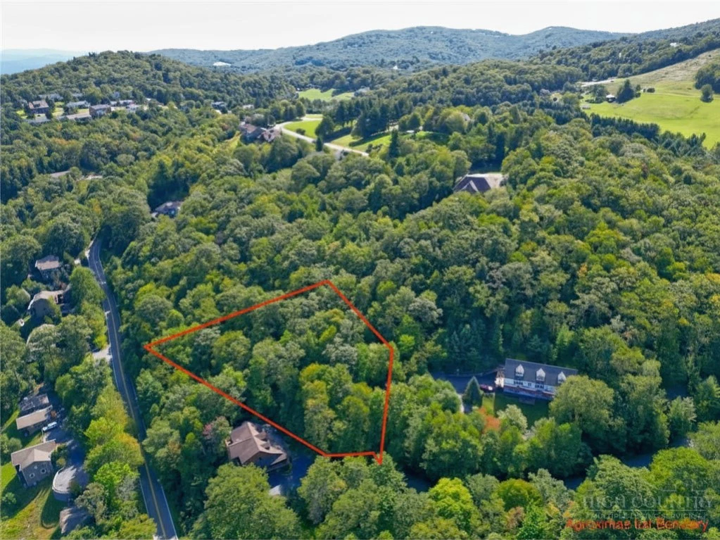 Image number 4 for the current listing