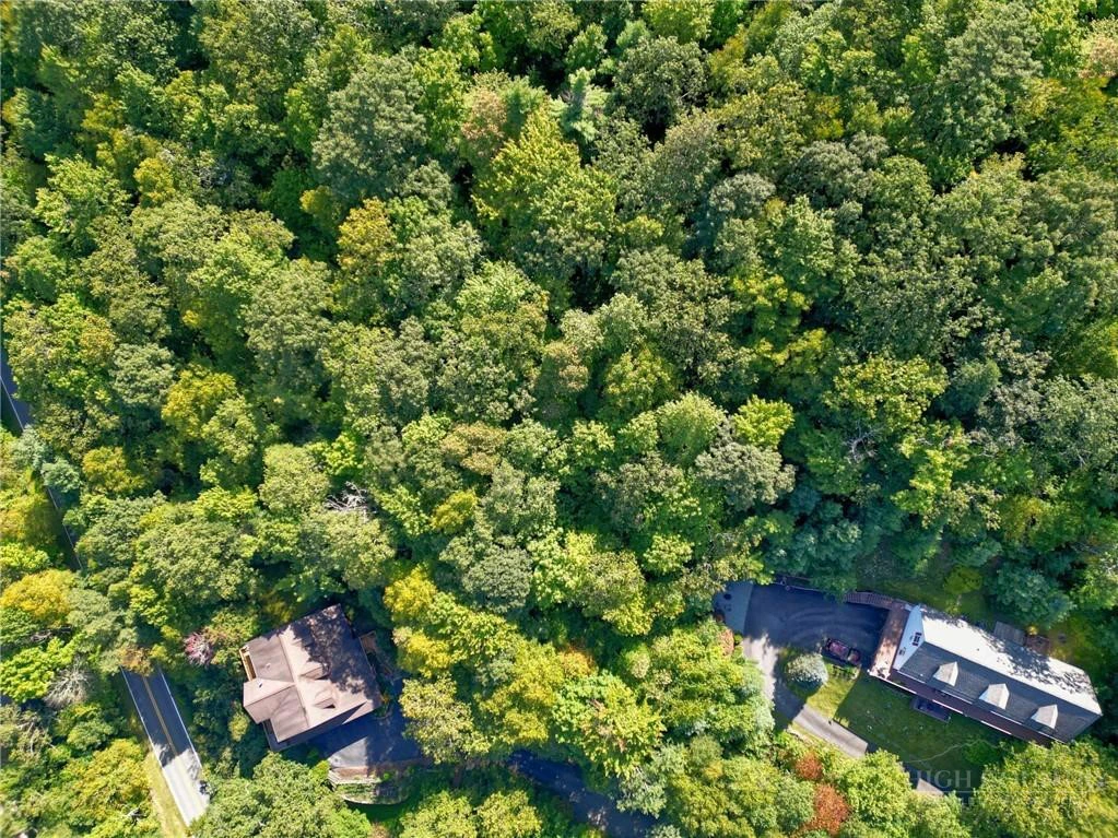 Image number 6 for the current listing