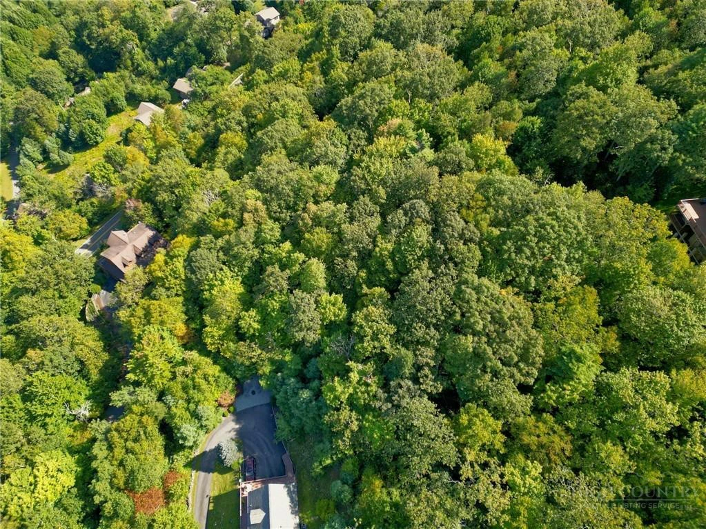 Image number 7 for the current listing