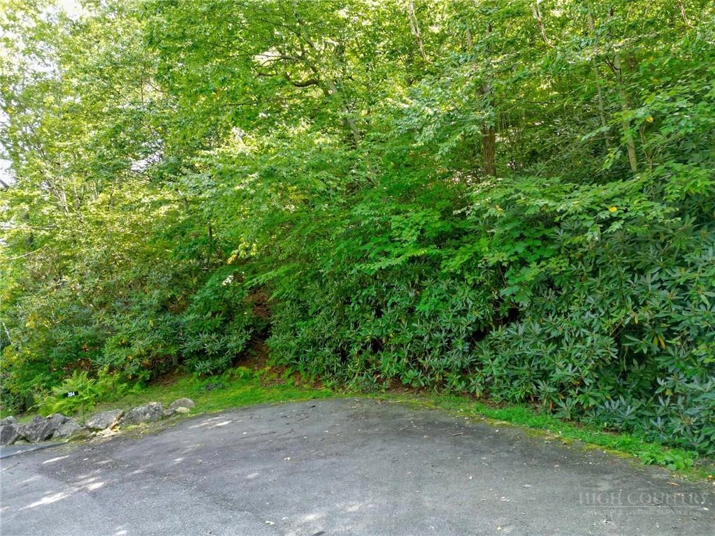 Image number 10 for the current listing