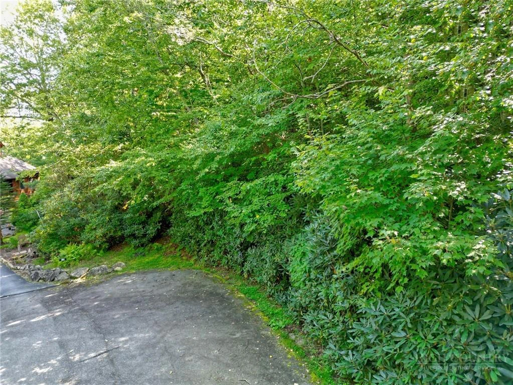 Image number 11 for the current listing