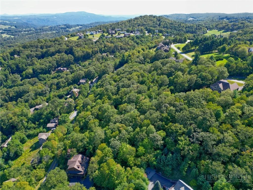 Image number 12 for the current listing