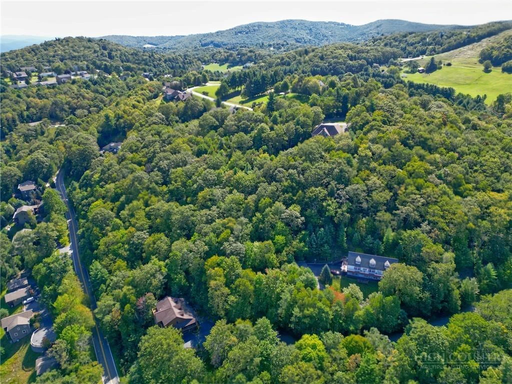 Image number 14 for the current listing